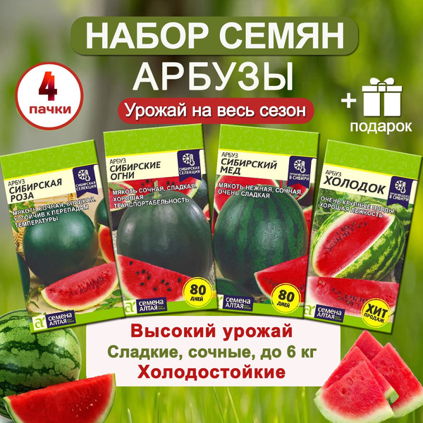 Арбуз Семена Алтая Бахча - купить по выгодным ценам в интернет-магазине ...