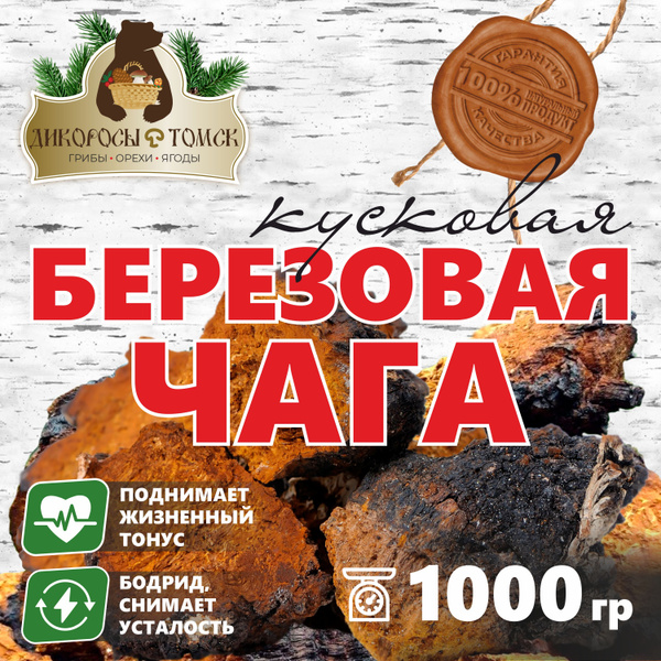 Чага берёзовая натуральная сибирская (кусковая) 1000 гр. - купить с ...