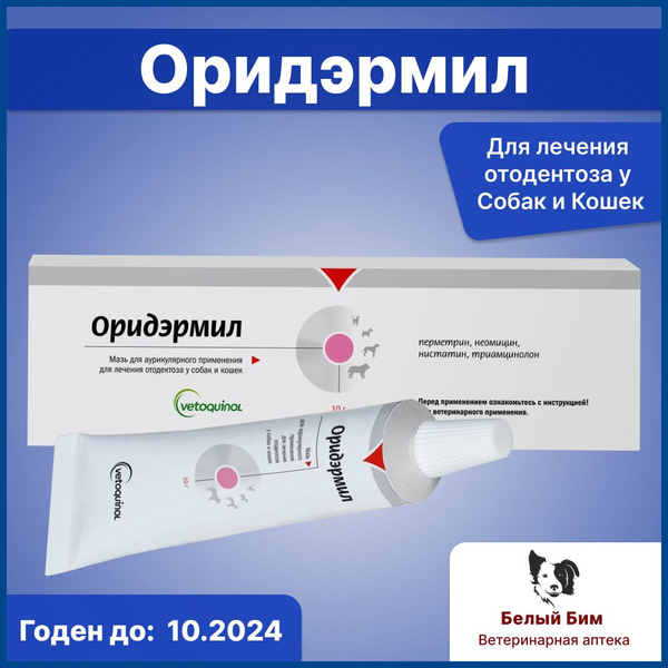 Мазь при отитах Оридермил, 10 г купить на OZON по низкой цене (1269674454)