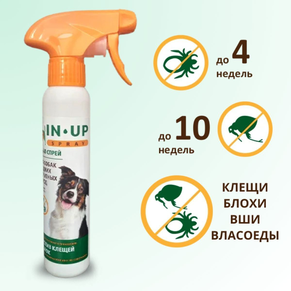 ИН-АП спрей для собак средних и крупных пород, 150 мл - купить с ...