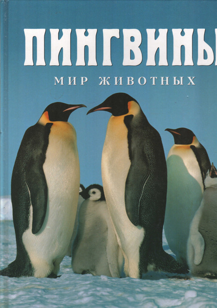 Мир животных. Пингвины | Хастингз Дерек - купить с доставкой по ...