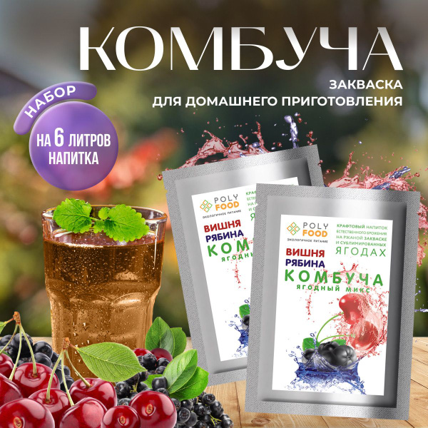 Комбуча, сухая закваска для ягодного кваса Poly Food - купить с ...