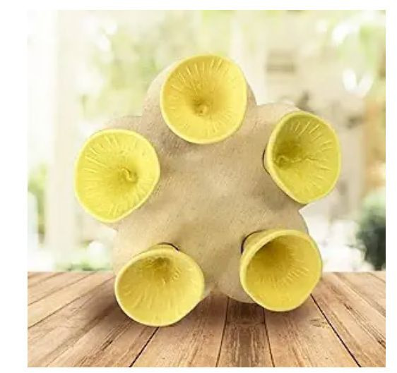 Поилка для пчел Bee Insect Drinking Cup Принадлежности для пчеловодства ...