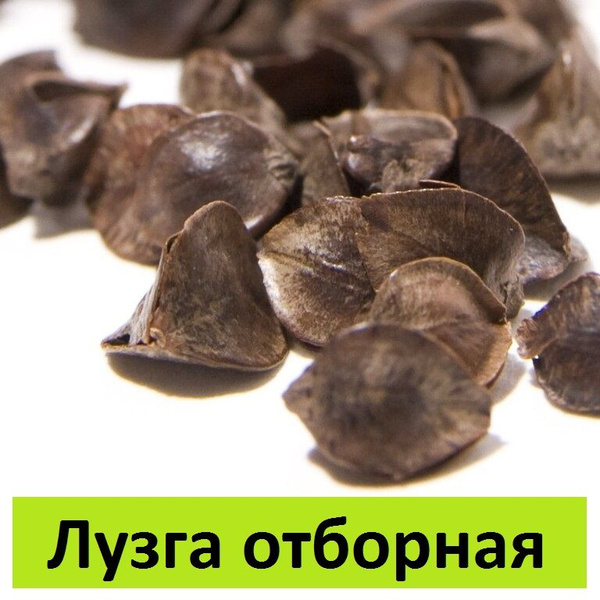 Лузга гречихи наполнитель для подушек, творчества и игрушек, 2 кг ...