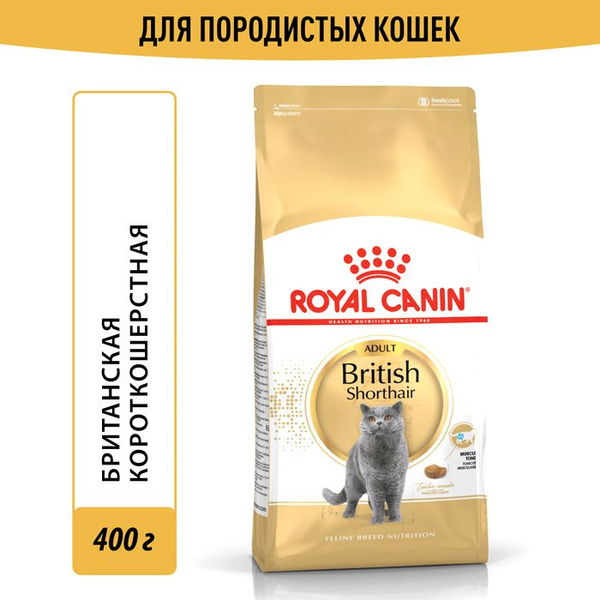 Корм сухой Royal Canin для взрослых британских кошек British Shorthair ...