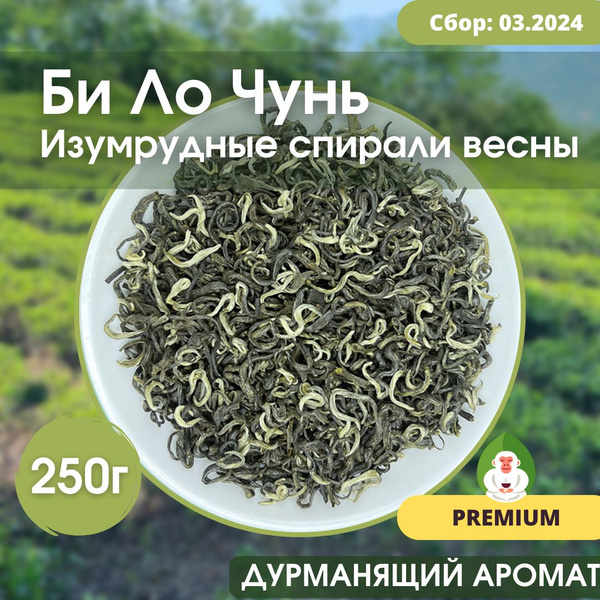 Би Ло Чунь китайский зеленый чай (Изумрудные спирали весны, Билочунь ...