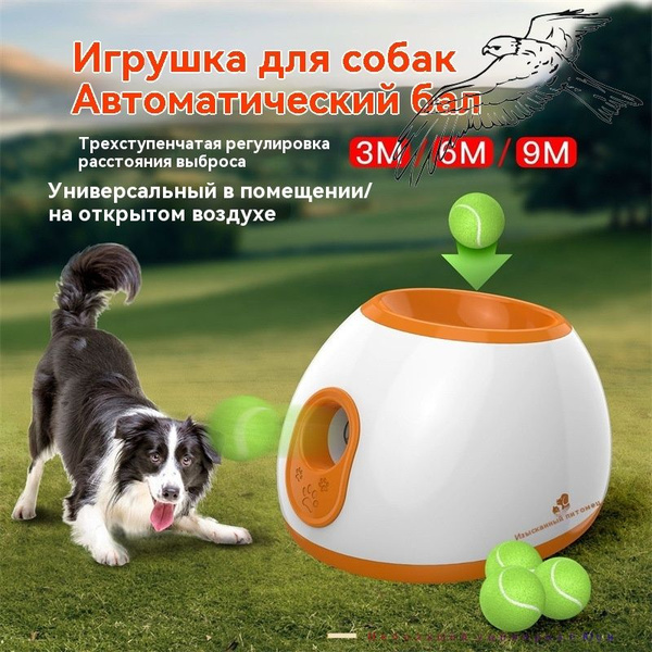 Игрушка-автомат для игры в мяч для собак - купить с доставкой по ...