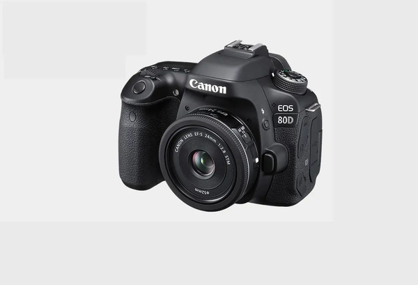 Зеркальный фотоаппарат Canon 80D Kit 24mm STM - купить по низкой цене в ...