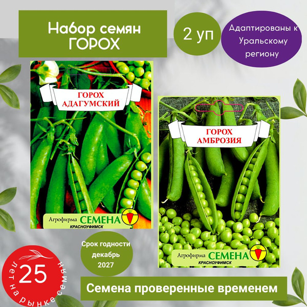 Горох Агрофирма Семена горох_2_Горох Амброзия, Адагумский - купить по ...