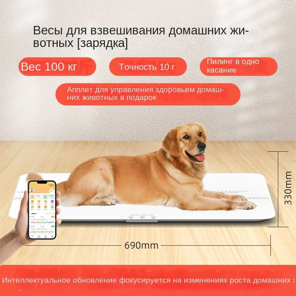 Большая точность ПЭТ шкала белый - купить с доставкой по выгодным ценам ...