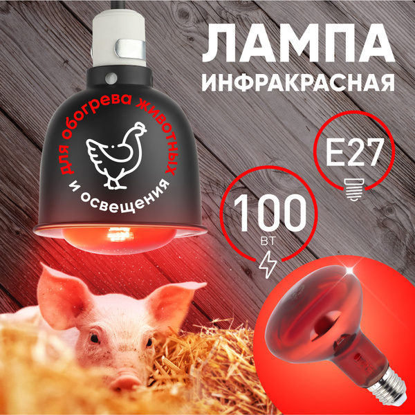 Инфракрасная лампа ЭРА ИКЗК 230-100 R95 E27 для обогрева животных и ...