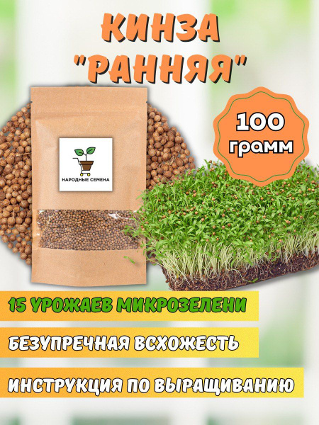 Различные травы, Пряные травы НАРОДНЫЕ СЕМЕНА микрозелень кинзы ...