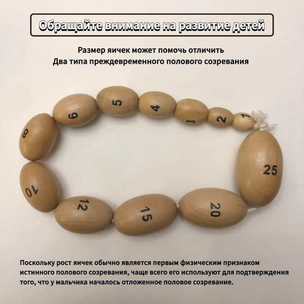 Устройство для измерения объема яичек у мужчин,Орхидометр купить на ...