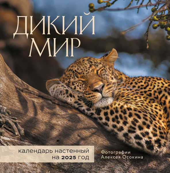 Эксмо Календарь купить на OZON по низкой цене (1652657792)