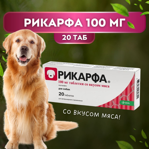 Рикарфа 100 мг, 20 таб купить на OZON по низкой цене (1665988172)