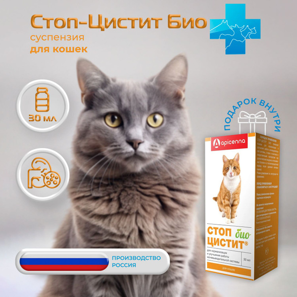 Стоп-Цистит Био суспензия для кошек, 30 мл. - купить с доставкой по ...