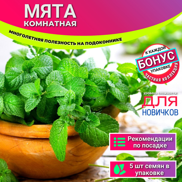 Мята XSeedS мята комнатная - купить по выгодным ценам в интернет ...