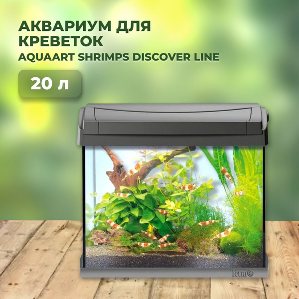Аквариум для креветок AquaArt Shrimps Discover Line 20л 39х27,5х32см ...