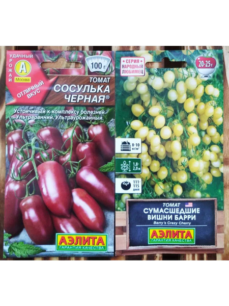 ПОИСК Агрохолдинг Томаты черри Сосулька черная и Сумасшедшие вишни ...
