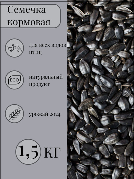 Семечки подсолнуха 1.5кг. Корм для птиц, для скота. Кормовая добавка ...