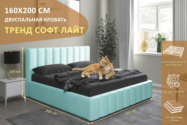 Двуспальная кровать Тренд Софт Лайт 160х200 см, с ортопедическим ...