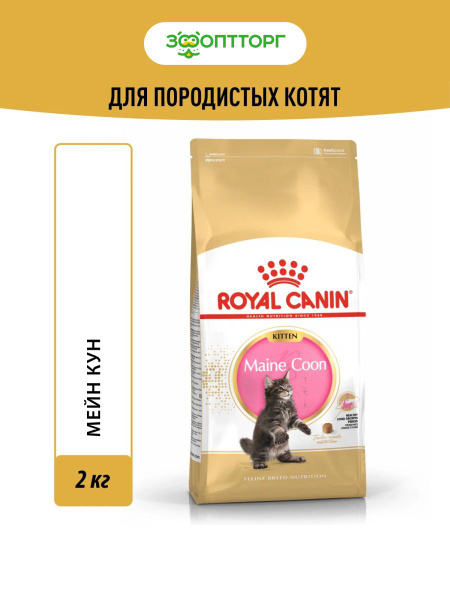 Royal Canin Maine Coon 2 Кг Купить