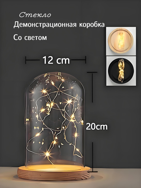 Цилиндрическая стеклянная коробка для моделей, витрина, 12x20 см, с ...
