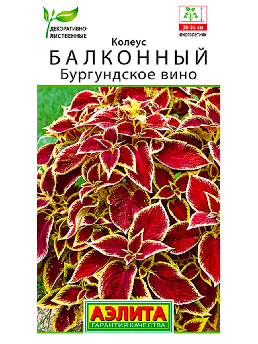 Колеусы Агрофирма Аэлита ци - купить по выгодным ценам в интернет-магазине  OZON (1411870621)