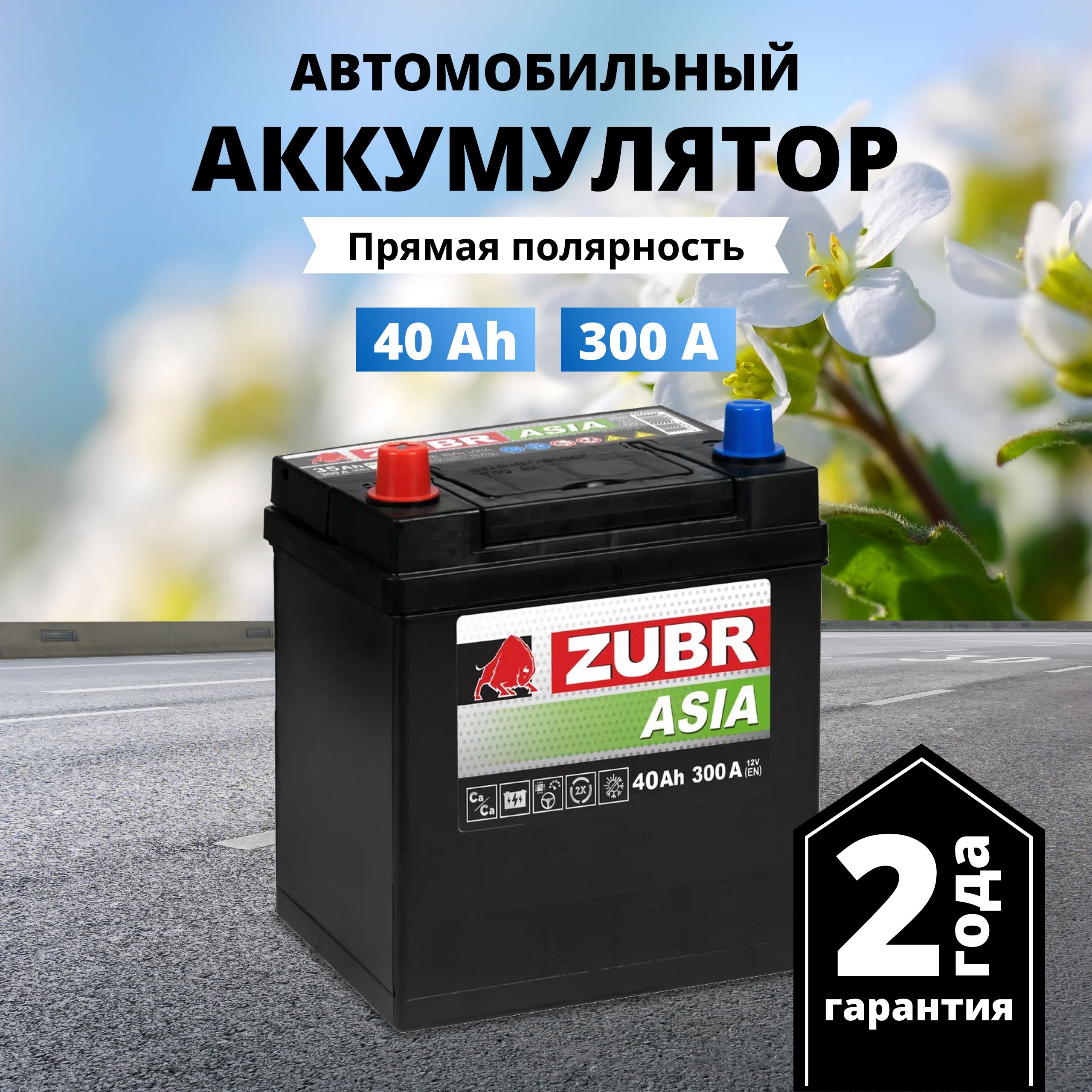 Аккумулятор автомобильный 12v 40 Ah ZUBR Premium Asia 40 Ач 300 А прямая  полярность 187x127x225 стартерный акб для автомобиля, машины (без борта)