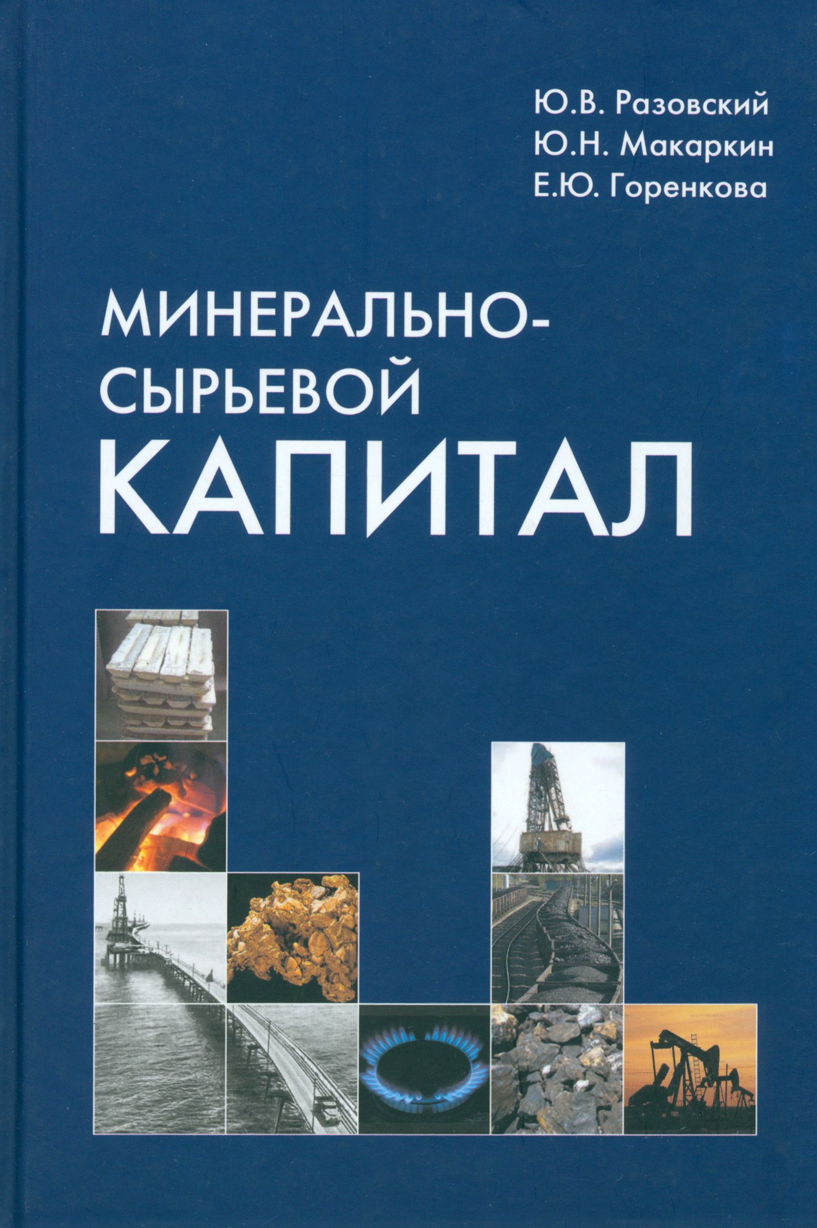 Минерально-сырьевой капитал | Разовский Юрий Викторович, Макаркин Юрий Николаевич