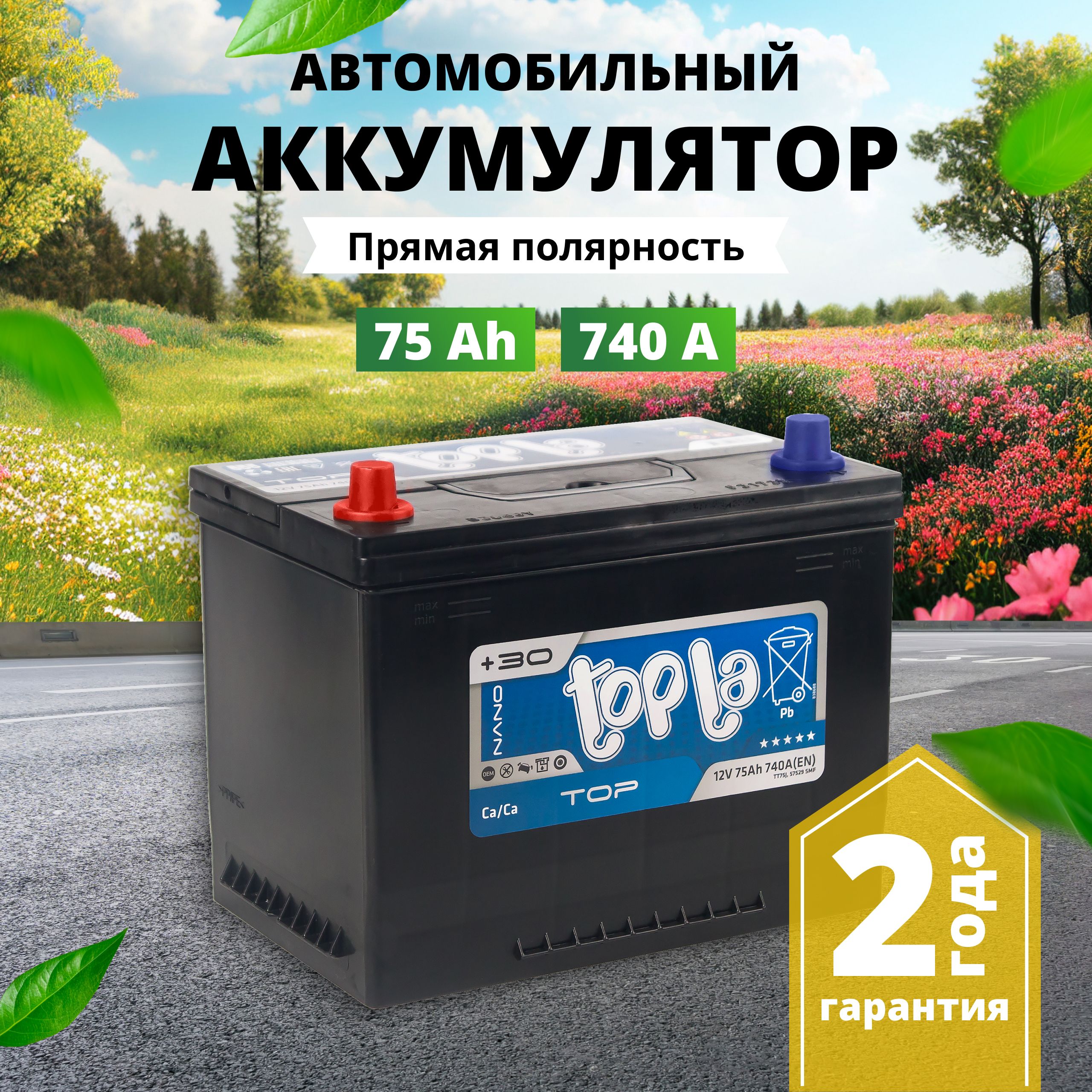 Аккумулятор автомобильный 12v 75 Ah TOPLA Top JIS 75 Ач 740 А прямая  полярность 260x175x225 стартерный акб для автомобиля, машины (нижний борт)