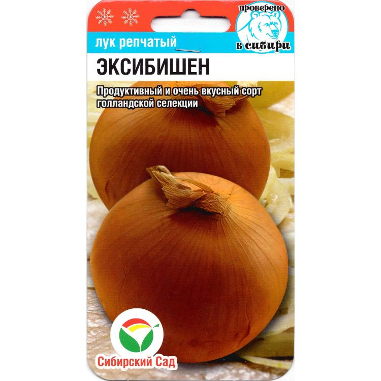 Лук Эксибишен(图1)