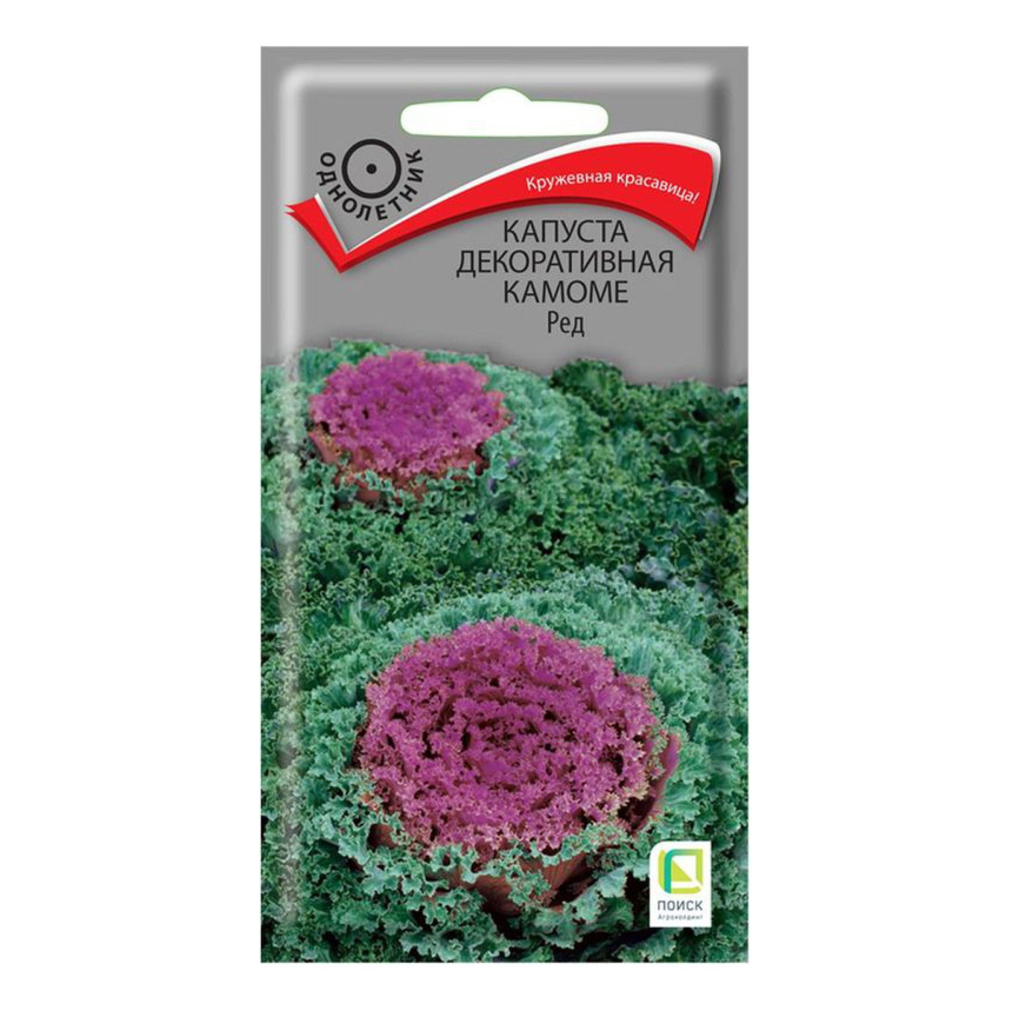 Капуста декоративная выращивание из семян в домашних условиях