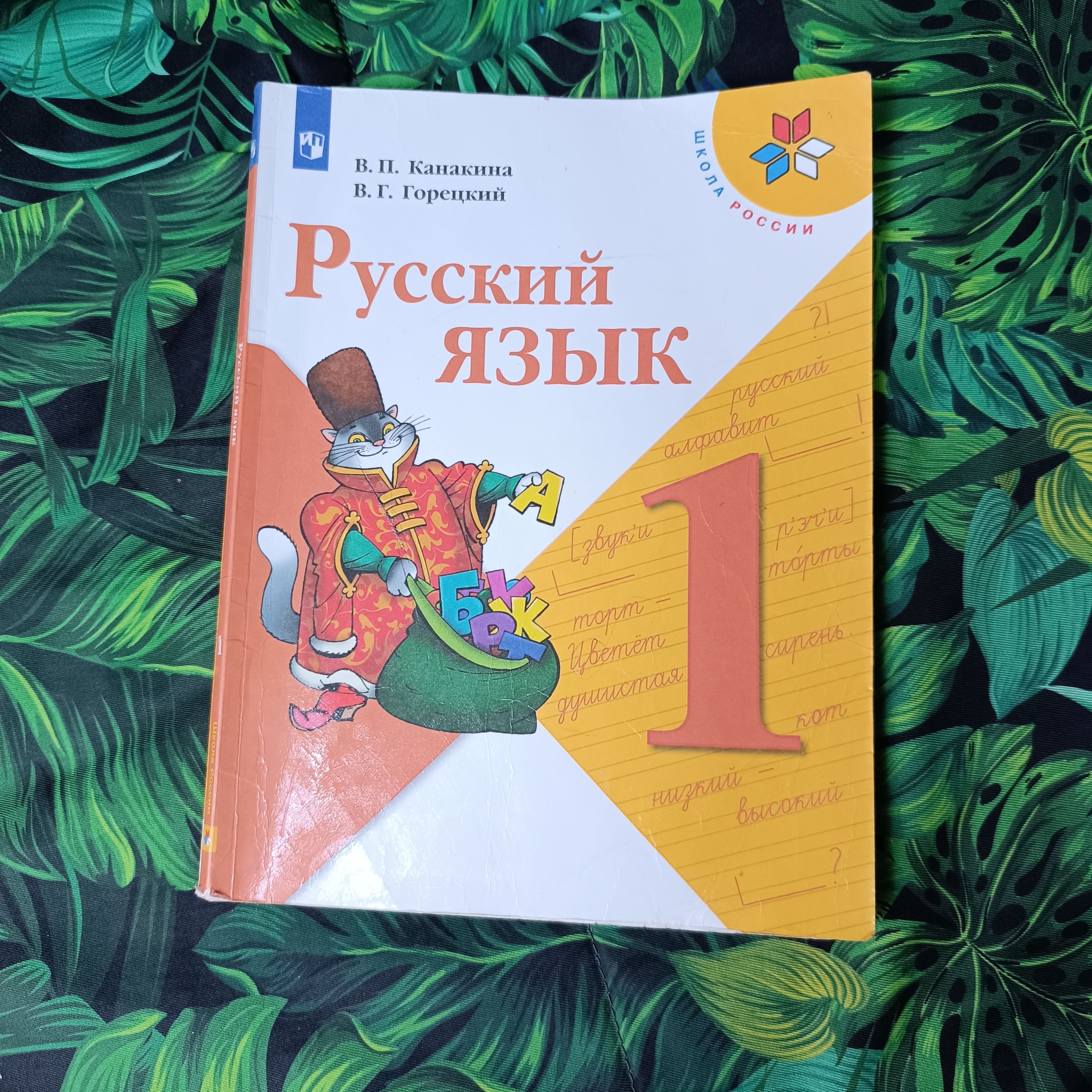 русский язык 1 класс Канакина Горецкий с 2019-2022 год | Канакина Валентина