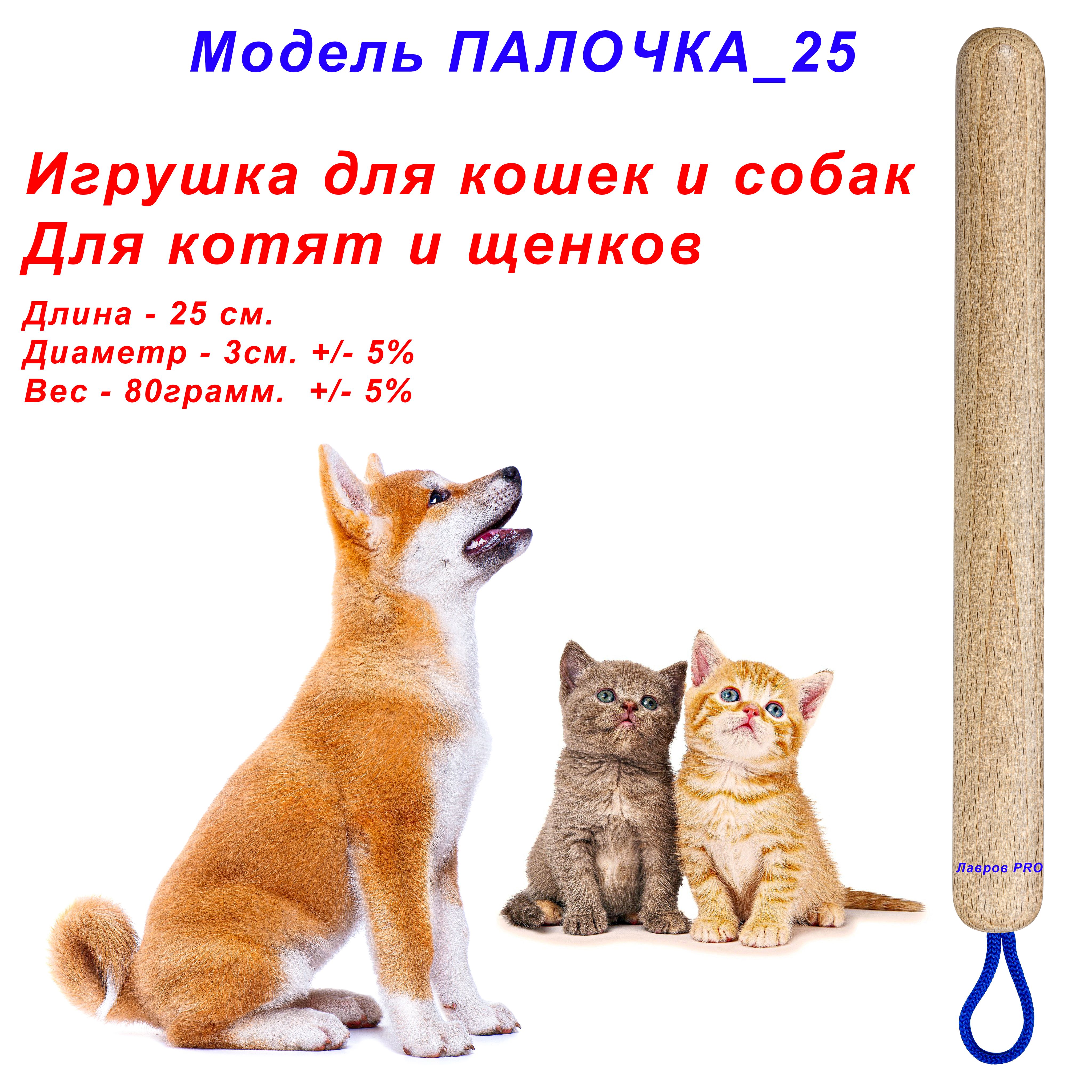 Кошка и собака