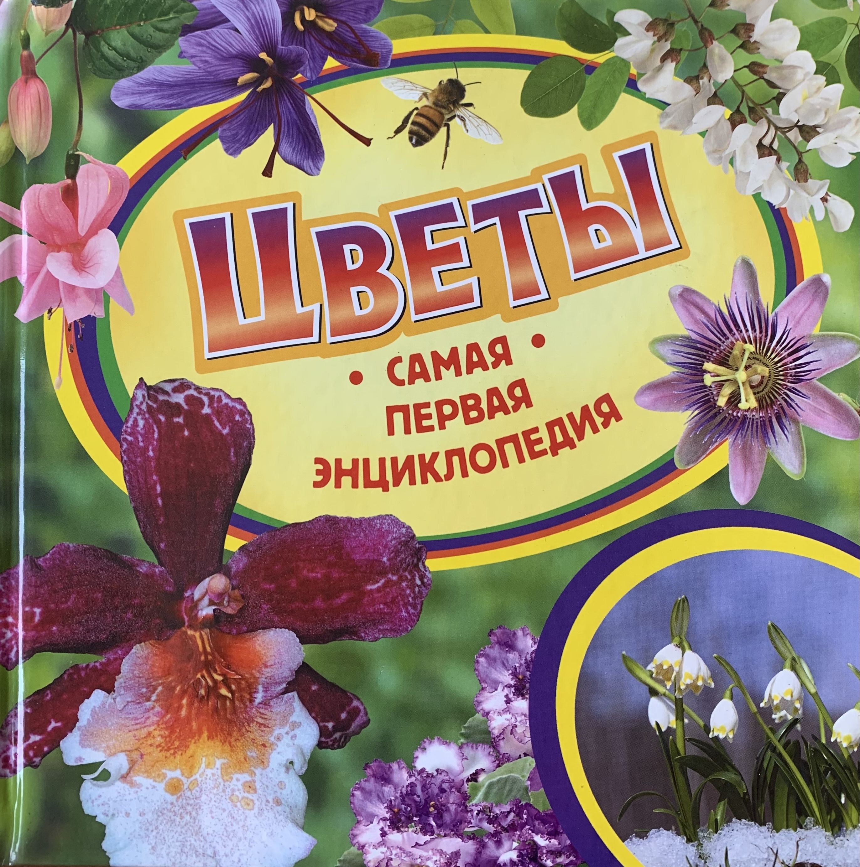 Книга цветочек. Книги о цветах для детей. Энциклопедия о цветах для детей. Энциклопедия про цветы для детей. Книга цветы.