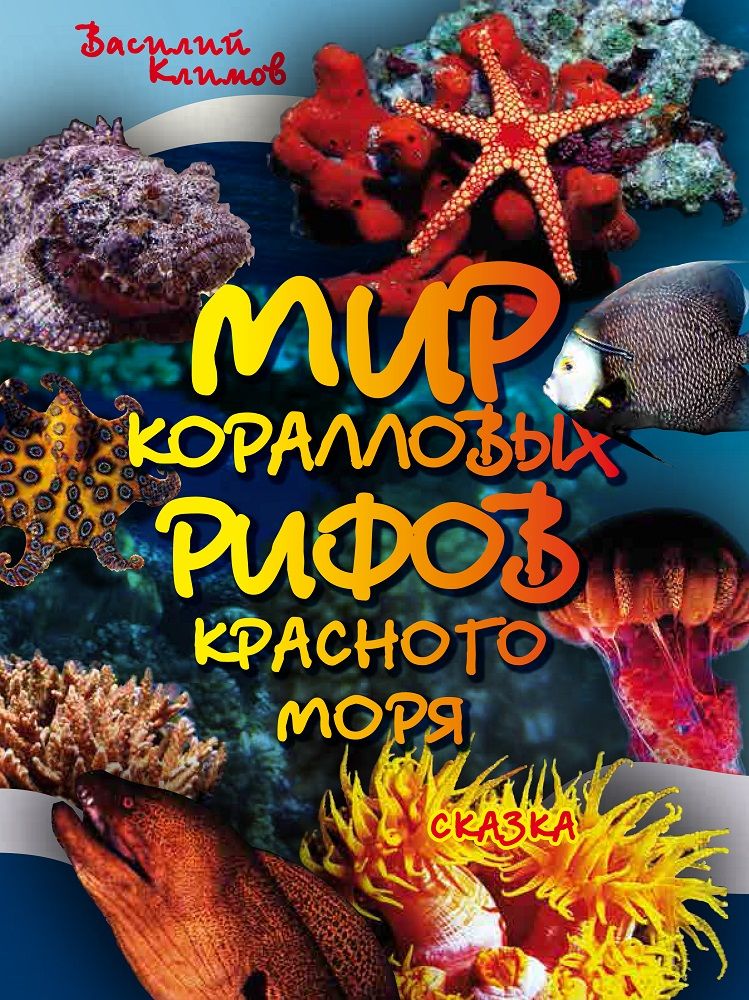 Мир коралловых рифов Красного моря | Климов Василий