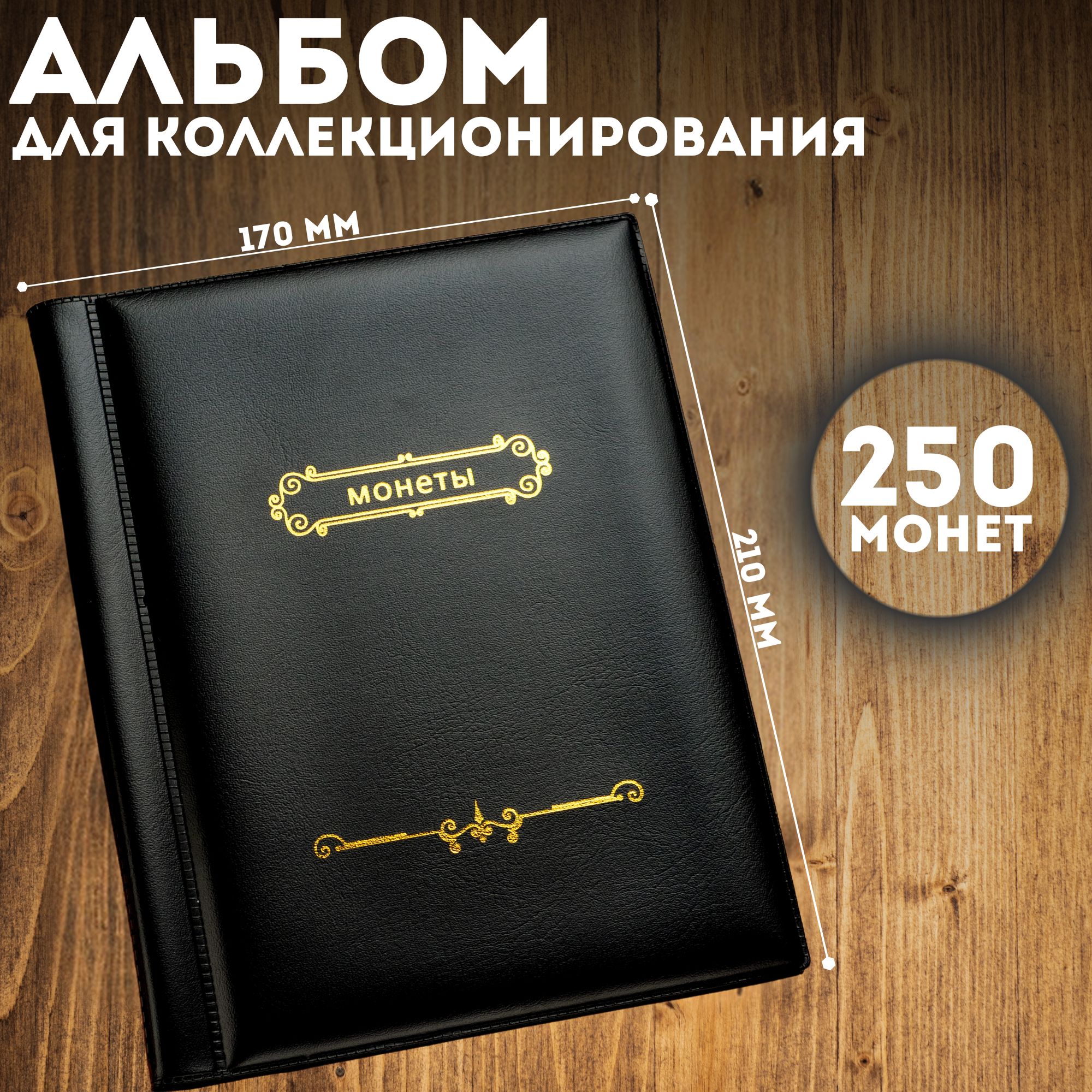 Альбом для монет 250 ячеек "Монеты" / Альбом для коллекционирования на 10 листов Черный