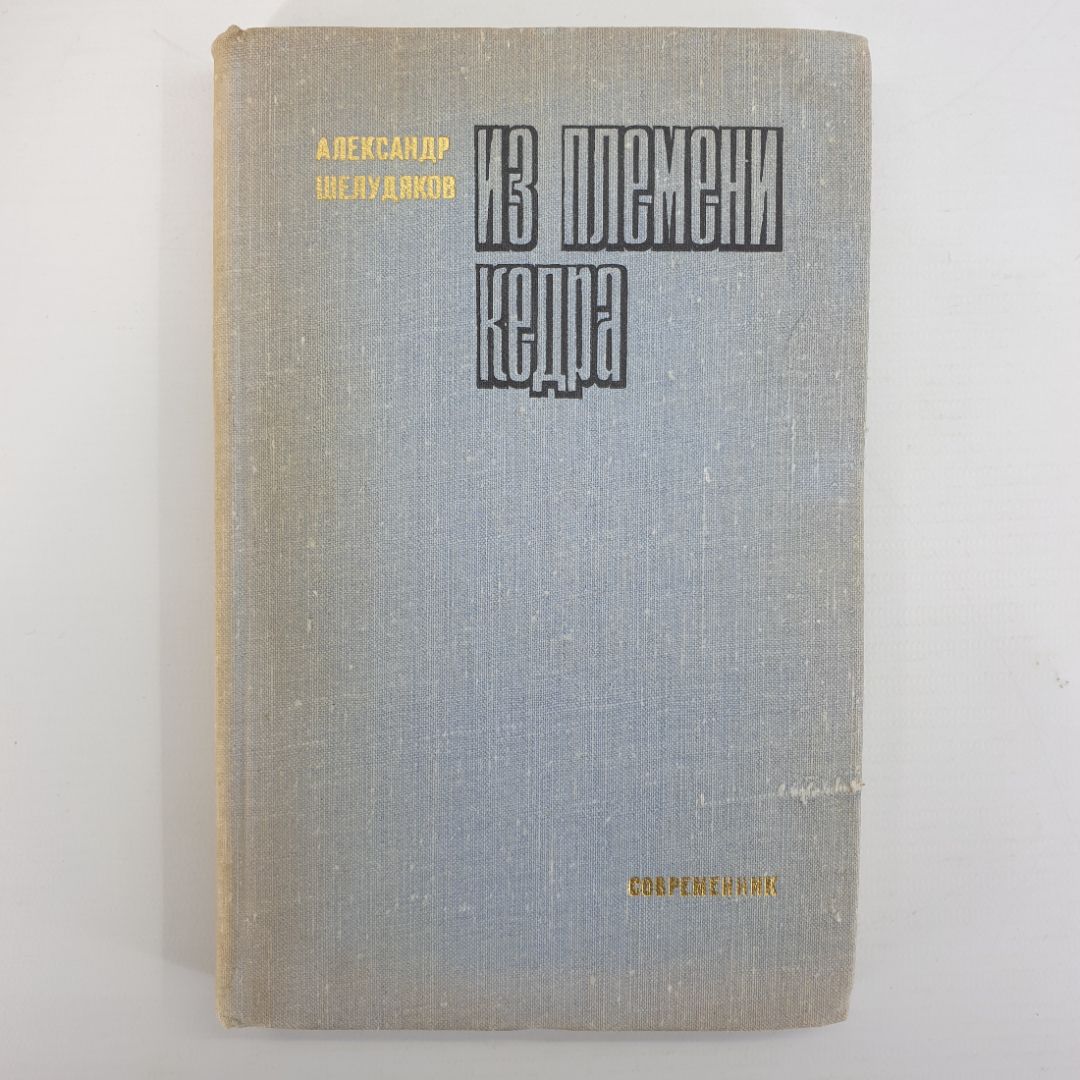 А. Шелудяков Из племени кедра