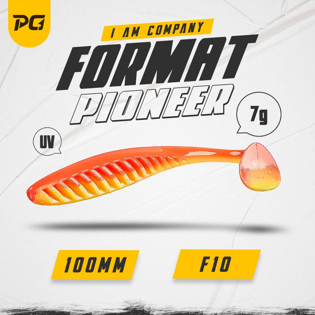 Силиконовая приманка FORMAT PIONEER 100mm (5шт.) цвет F10