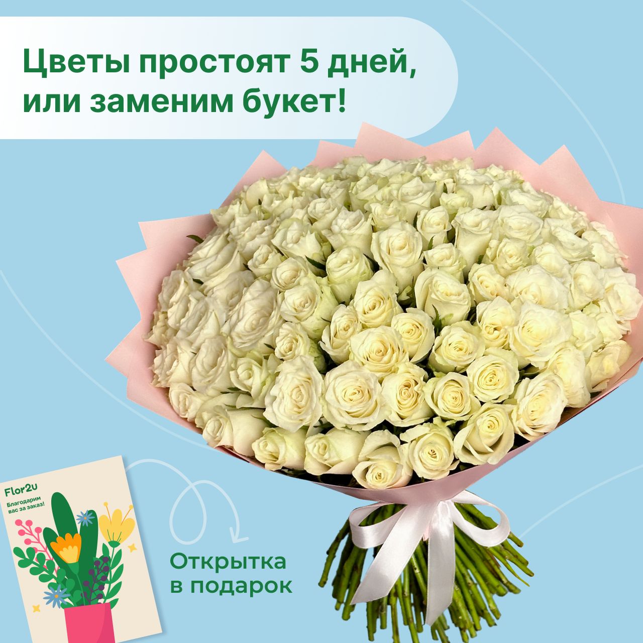 Цветы живые букет из 101 белой розы 40 см в упаковке Flor2u