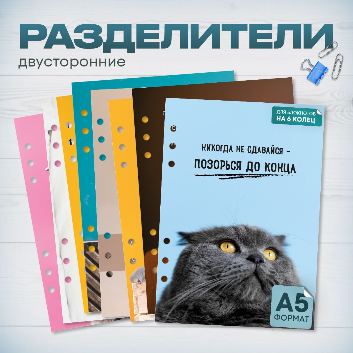 РазделителистраницдлятетрадиА56колецКотики