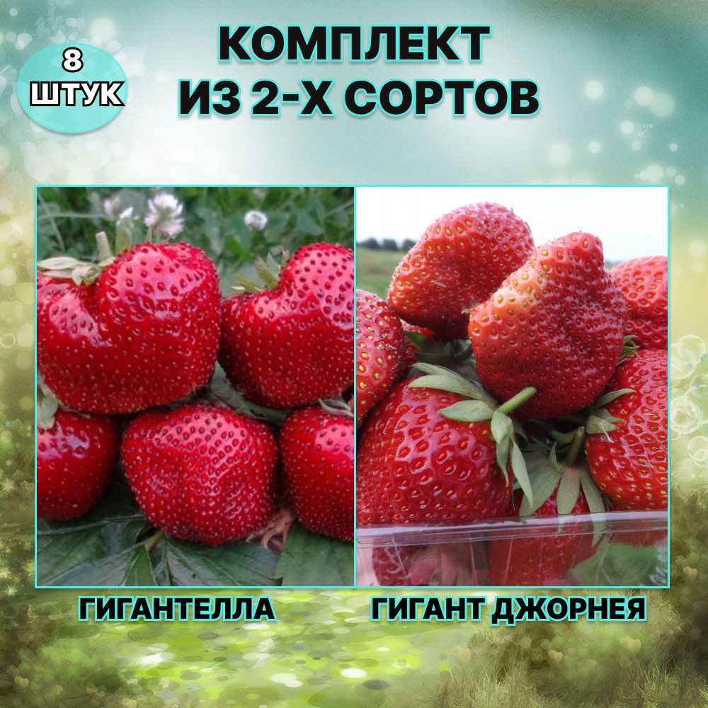 Возможные проблемы и их решение