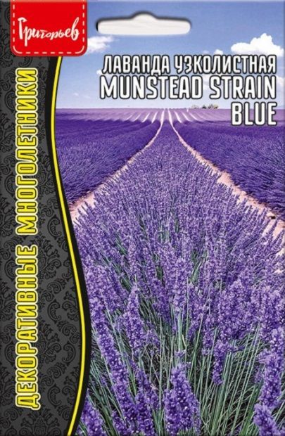 Лаванда многолетняя узколистная Munstead Strain Blue, 30 шт семян