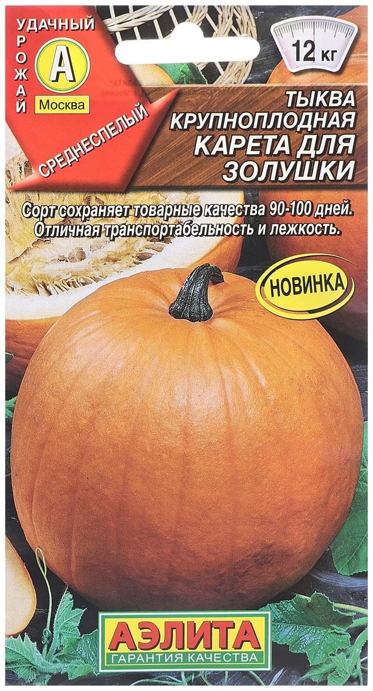 Сорт тыквы карета. Тыква крупноплодная карета для золушки&quot;. тыква карета для золушки сорт. тыква золушка семена.