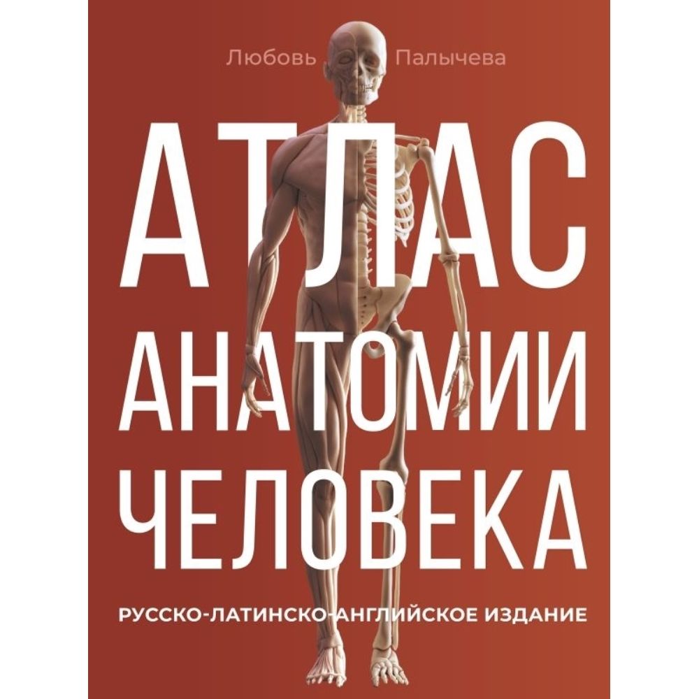 Атлас анатомии человека. Русско-латинско-английское издание | Палычева Любовь Николаевна