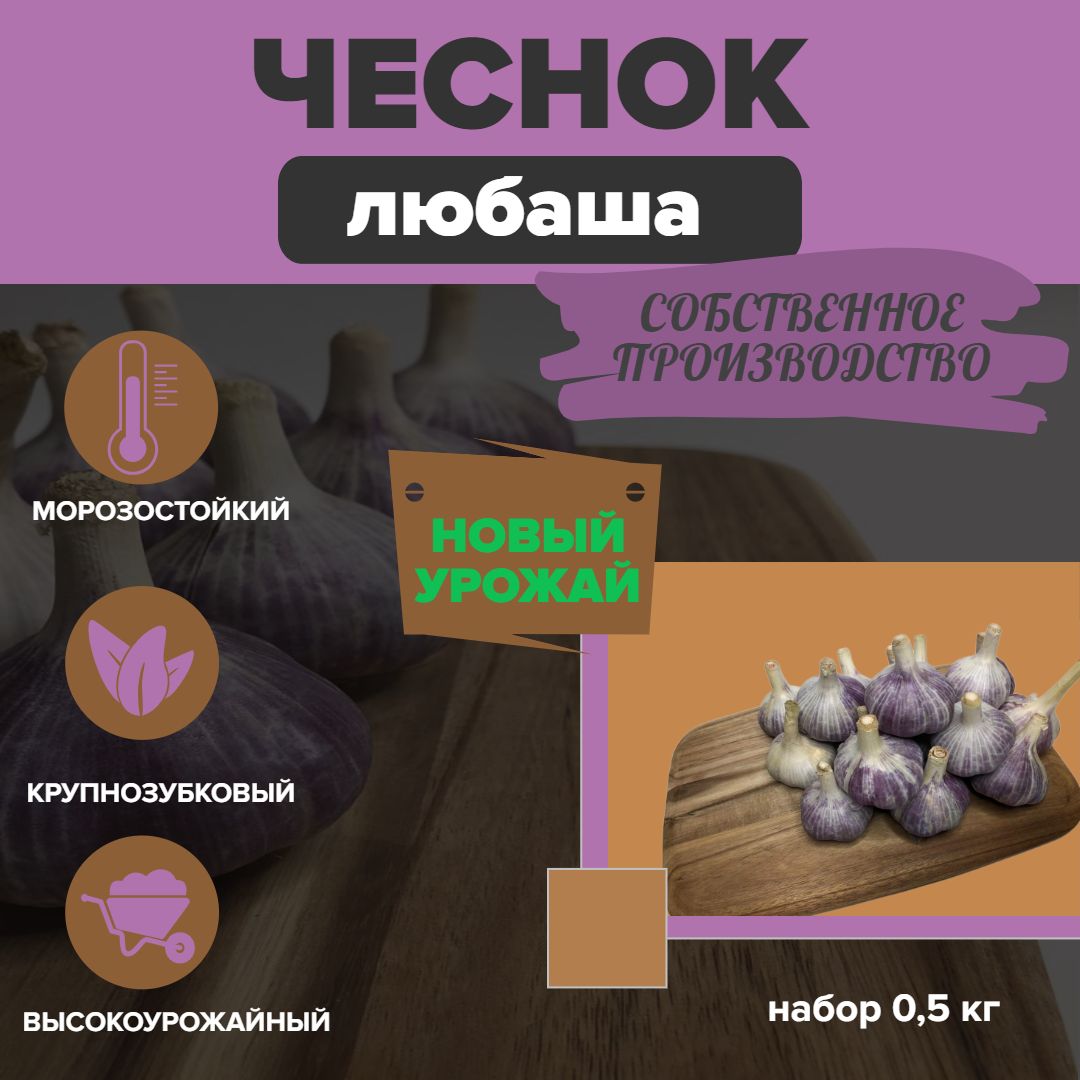 Кубанский чеснок Любаша...