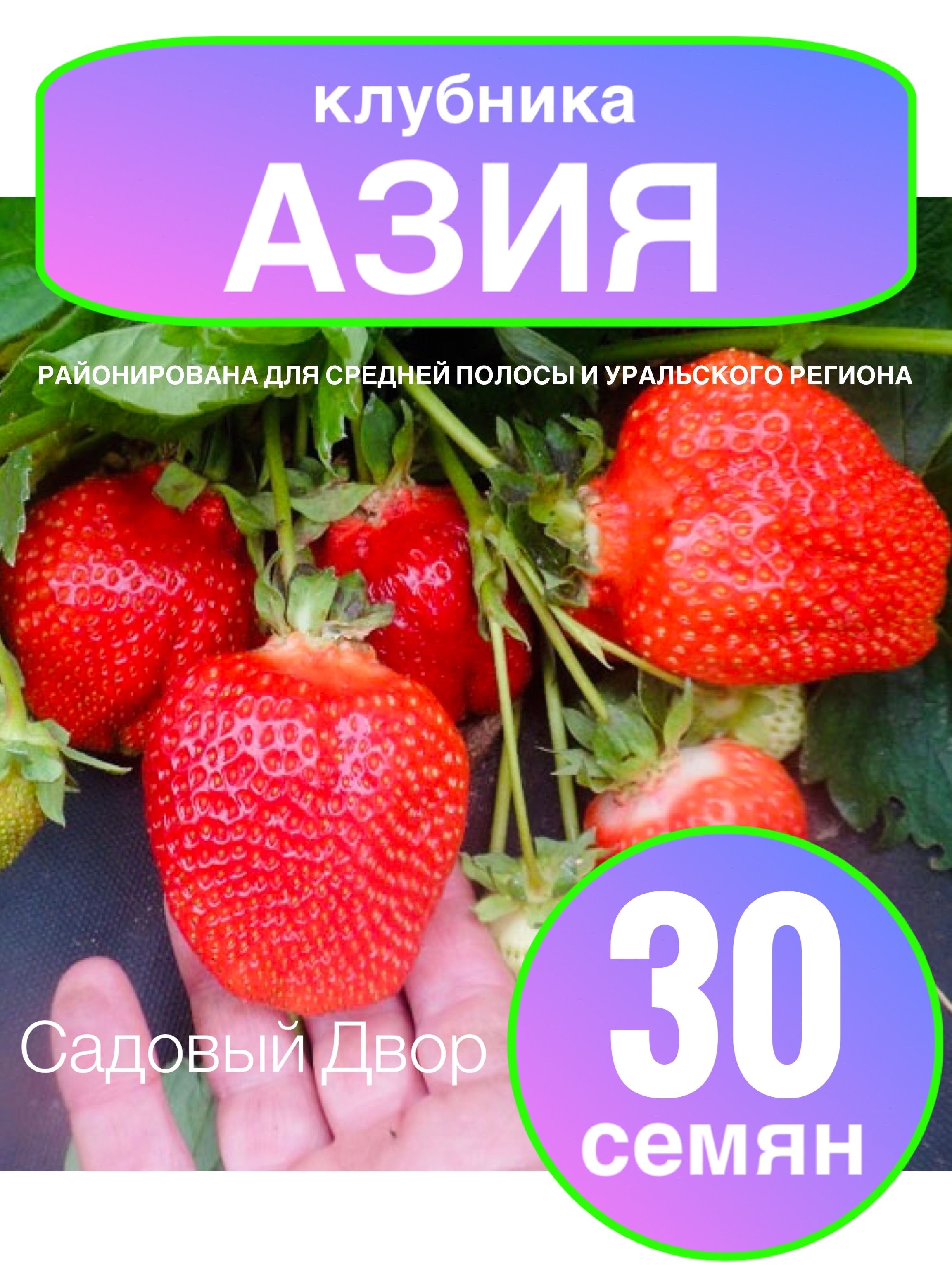 Клубника Азия, ур. 2024, 1 пакет, семена 30 шт + рекомендация по агротехнике