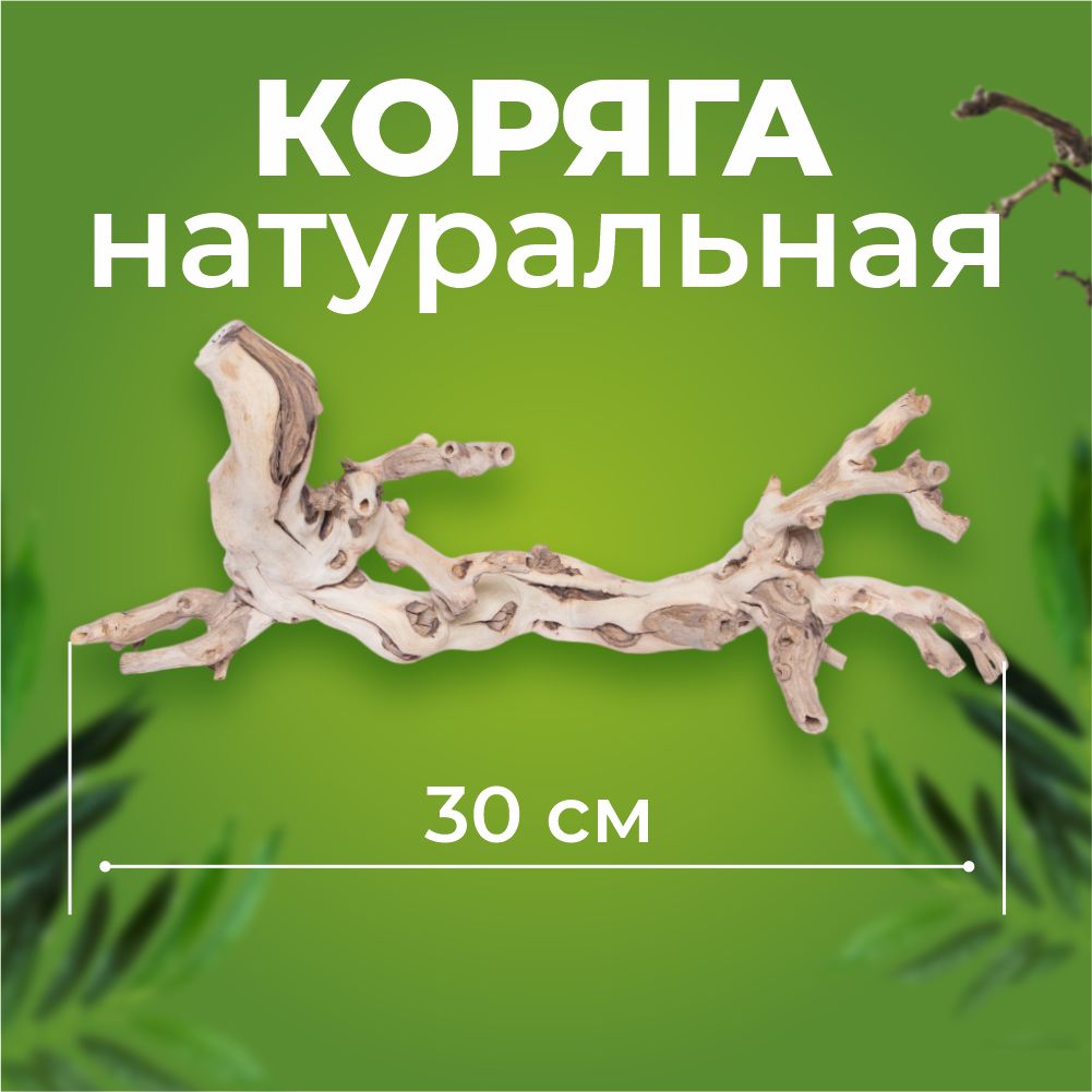 Коряга Виноградная лоза Белая 30 см