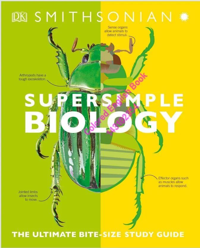 Super Simple Biology: The Ultimate Bitesize Study Guide (DK Super Simple)